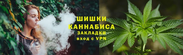 шишки Вяземский